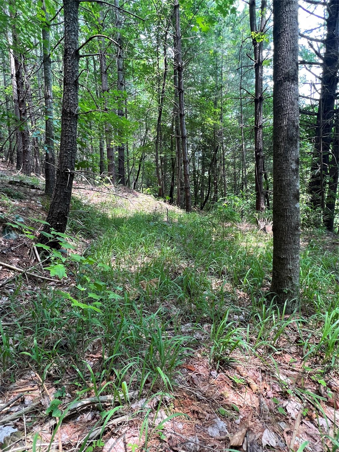 9589 Shortoff View Terrace, Unit 29 Nebo, NC 28761 - Photo 6 of 25 a view of outdoor space and green space