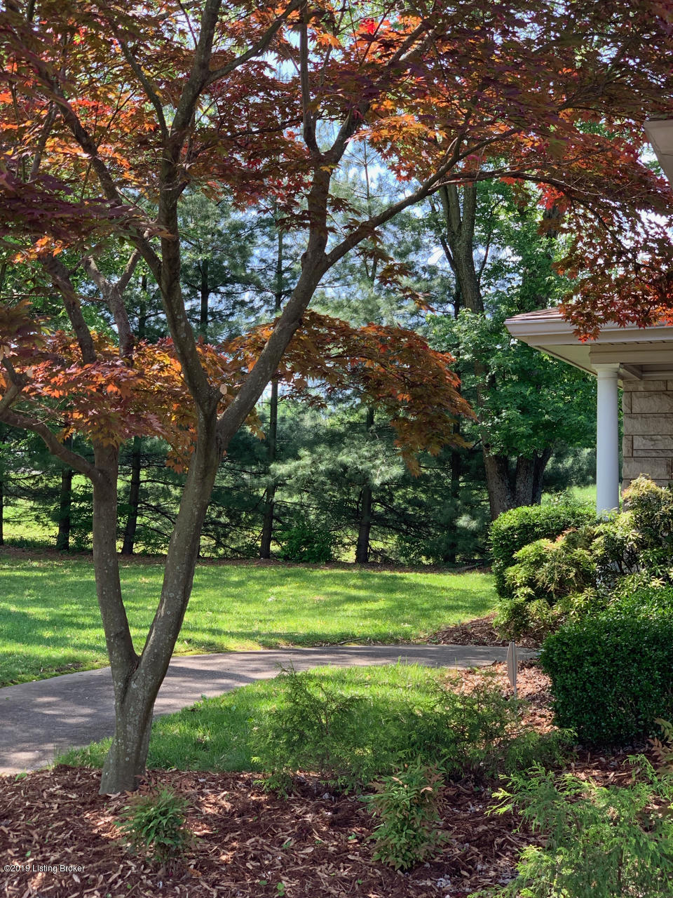 1601 Whippoorwill Road Louisville, KY 40213 - Photo 49 of 56 Privately situated in a "Park-like" surrounding.
