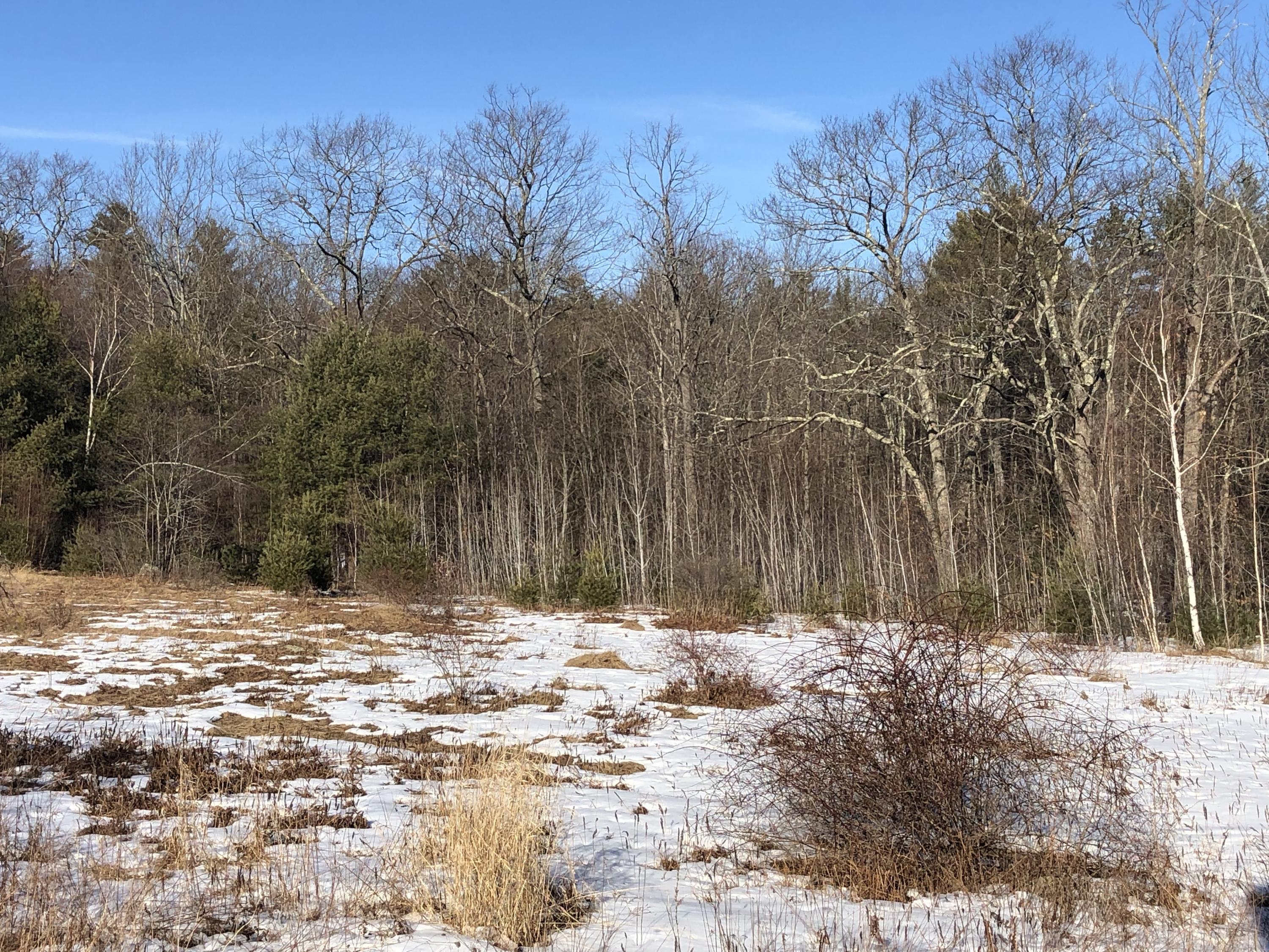103 Sunset Road Springvale, ME 04083 - Photo 11 of 12 IMG_3671