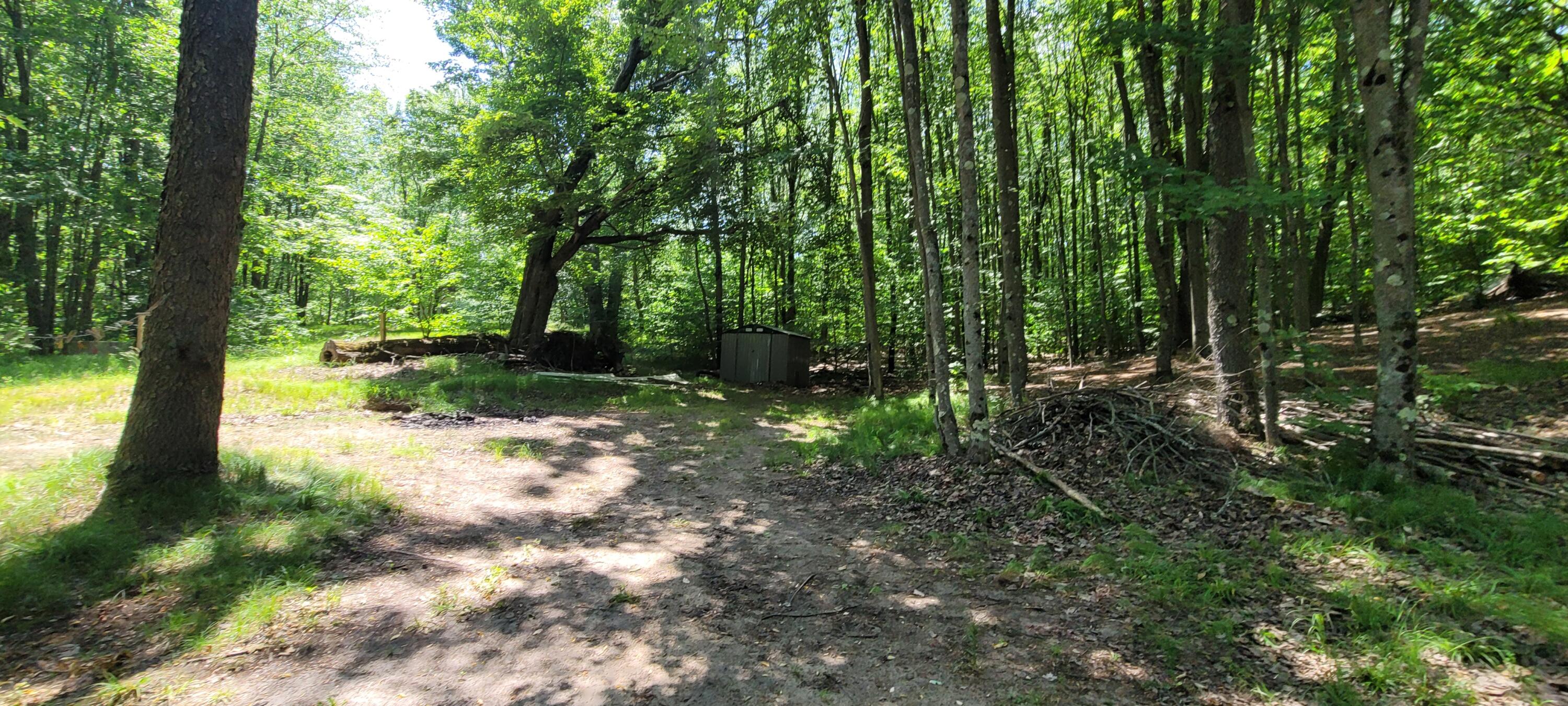 4551 Deer Cove Road Custer, MI 49405 - Photo 18 of 20 20250617_140805