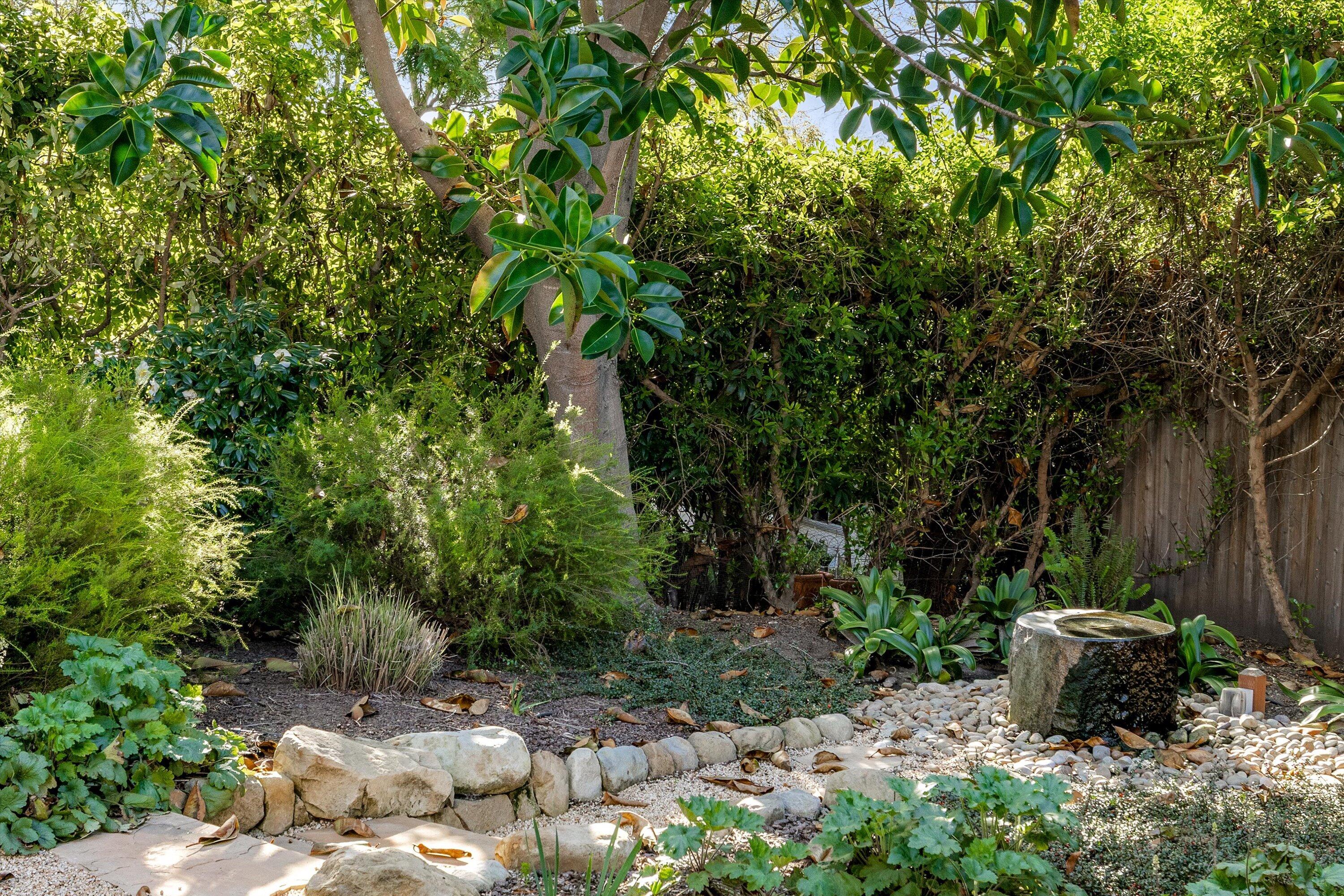 1322 East Cota Street Santa Barbara, CA 93103 - Photo 32 of 55 Drought Tolerant Gardens