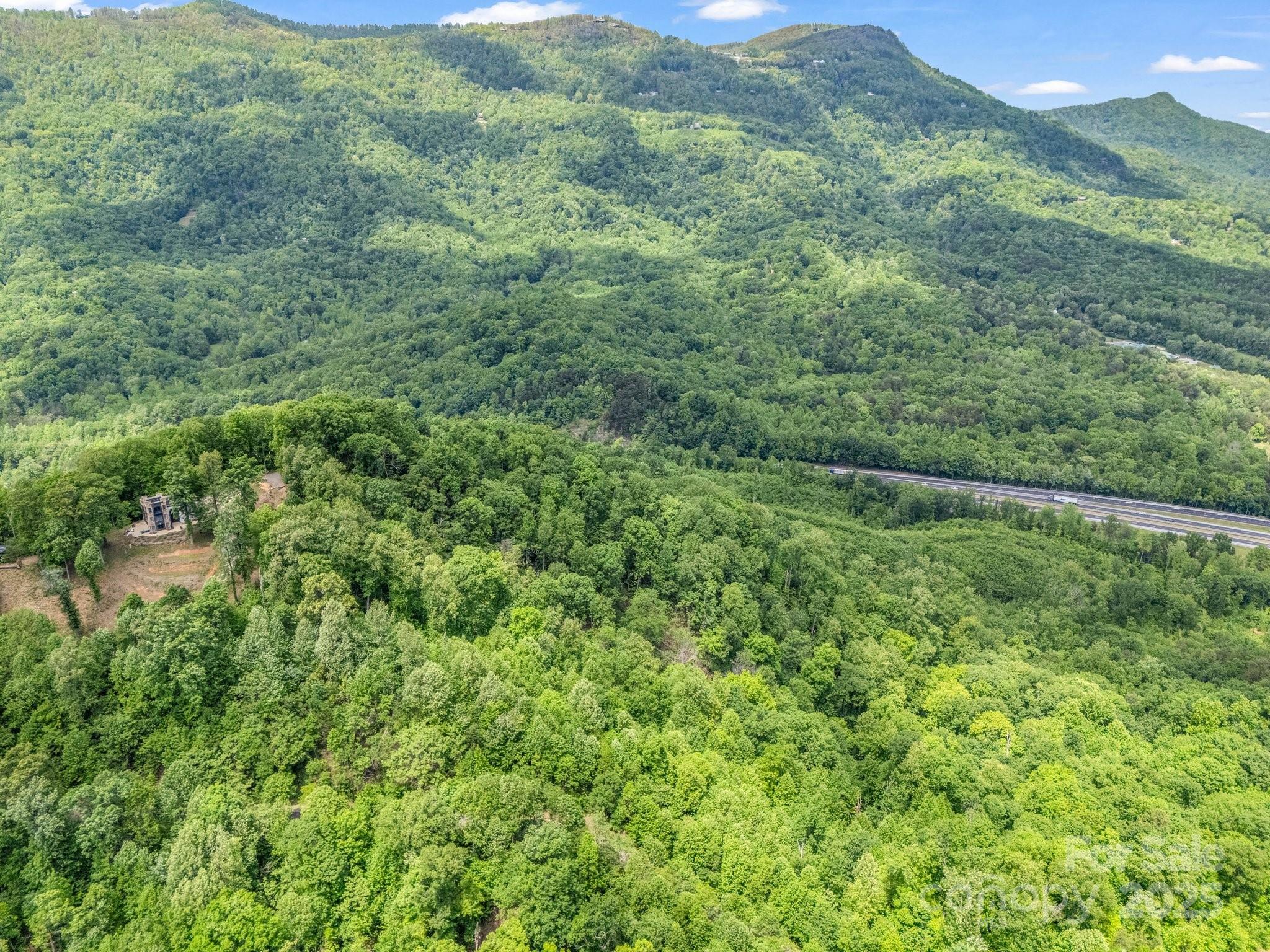0 Ragans Point, Unit 31 Columbus, NC 28722 - Photo 11 of 25 a view of a lush green forest with lots of tall trees