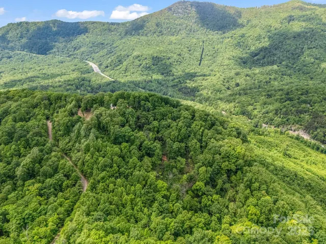 a view of a lush green forest with lush green forest