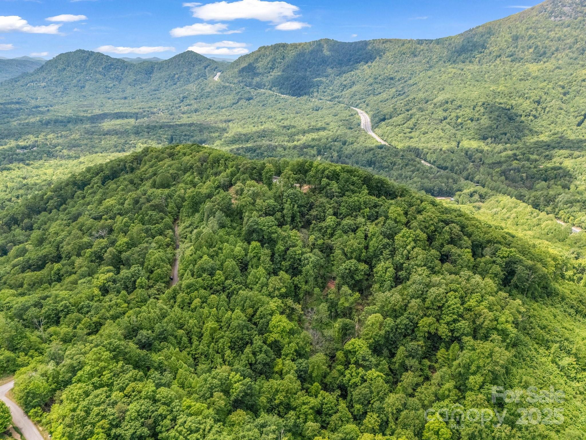 0 Ragans Point, Unit 31 Columbus, NC 28722 - Photo 14 of 25 a view of a lush green hillside and a building