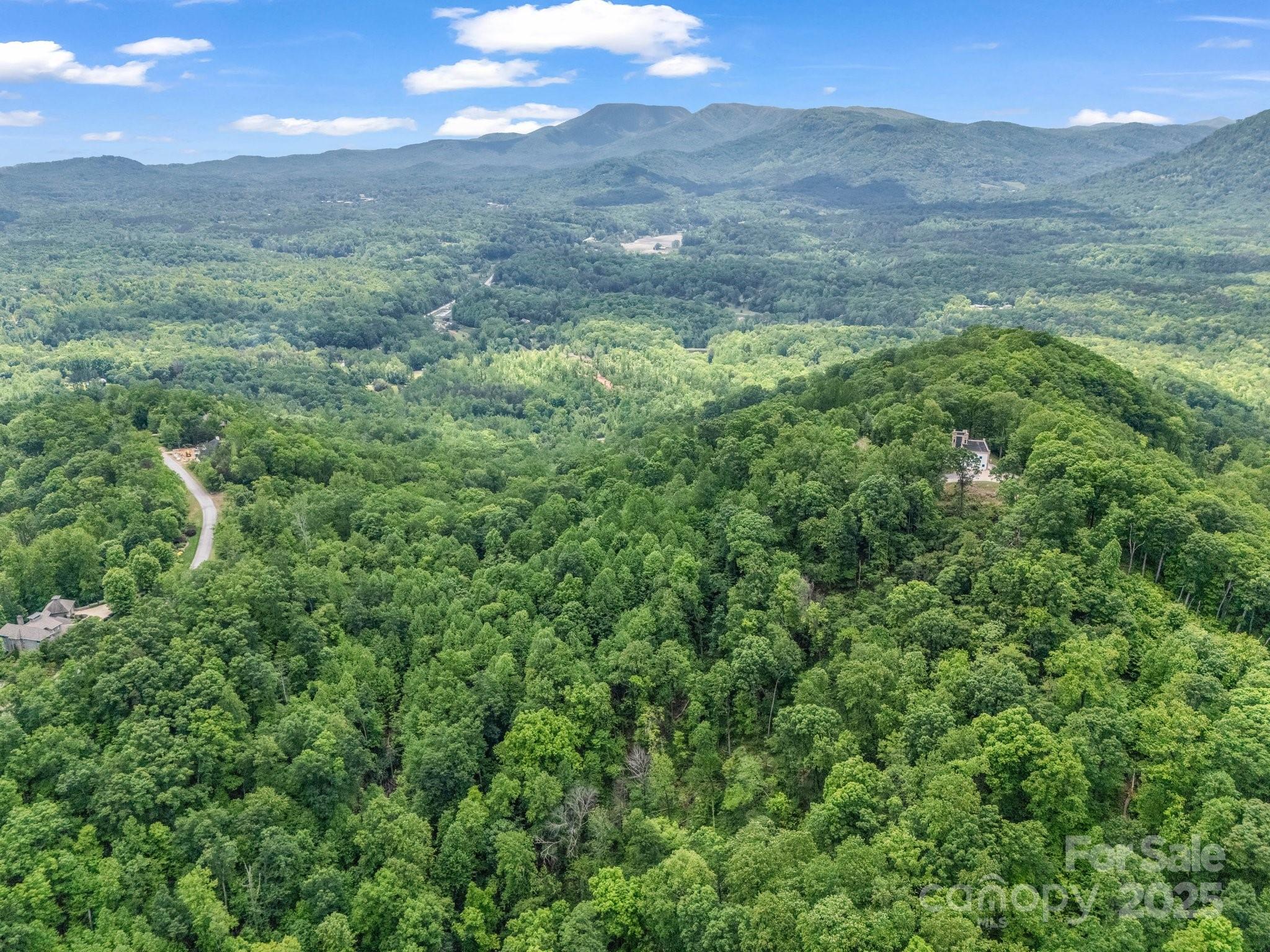 0 Ragans Point, Unit 31 Columbus, NC 28722 - Photo 16 of 25 a view of a lush green forest with a mountain