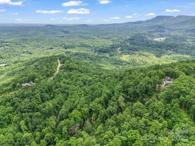 a view of a big yard with lots of green space