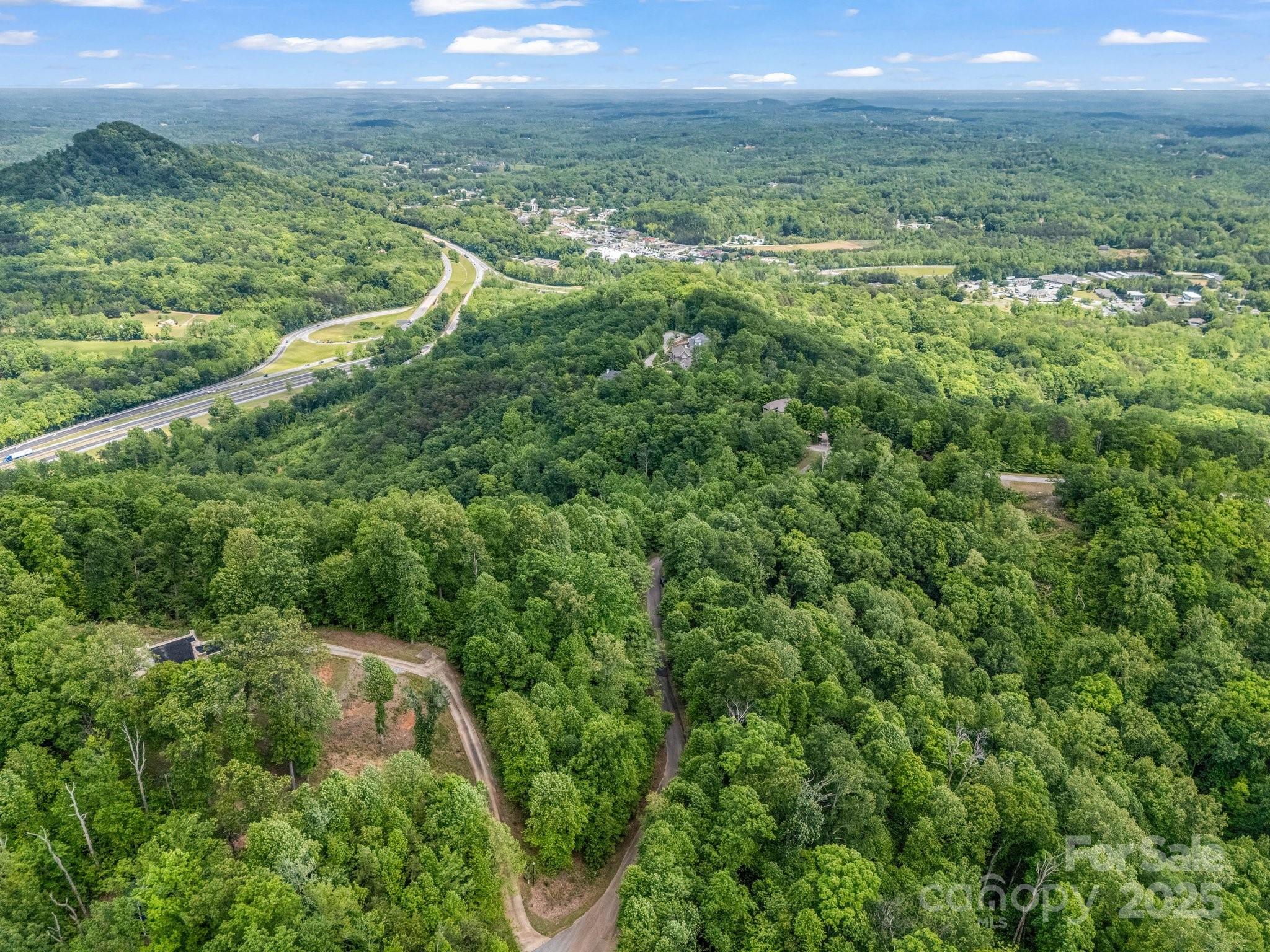 0 Ragans Point, Unit 31 Columbus, NC 28722 - Photo 19 of 25 a view of a green field with lots of green space and mountain view