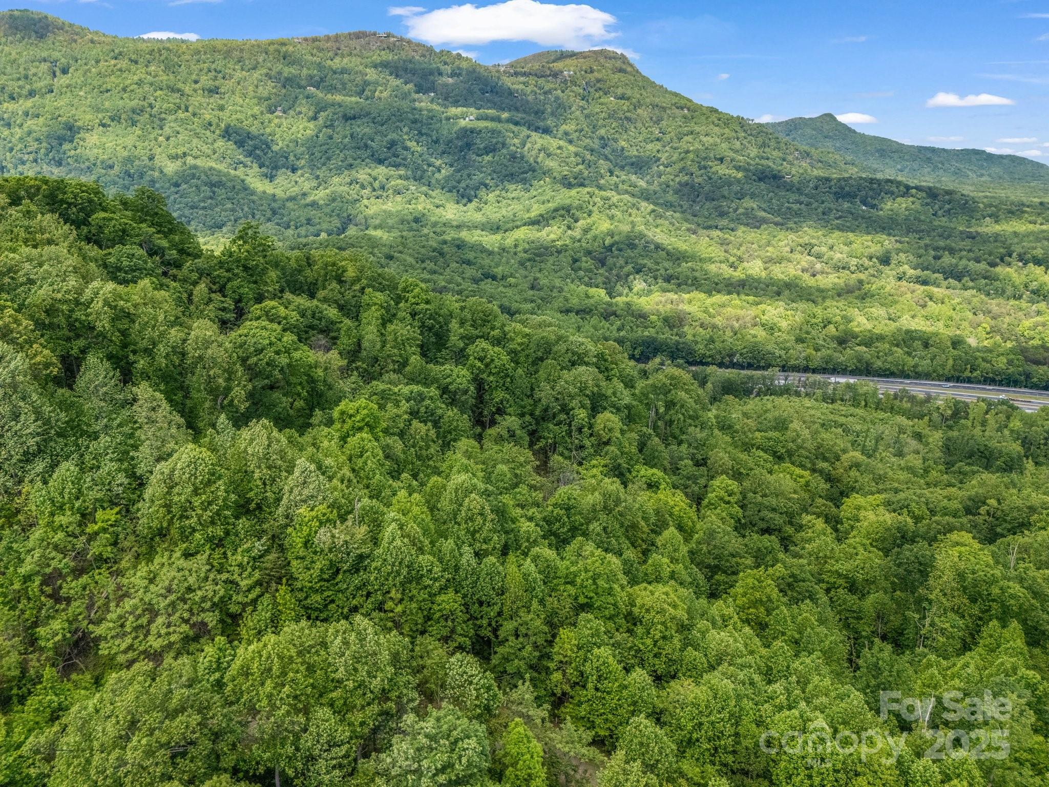 0 Ragans Point, Unit 31 Columbus, NC 28722 - Photo 22 of 25 a view of a lush green forest with lush green forest