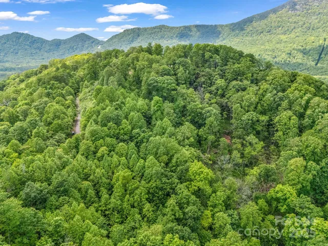a view of a lush green hillside and a houses