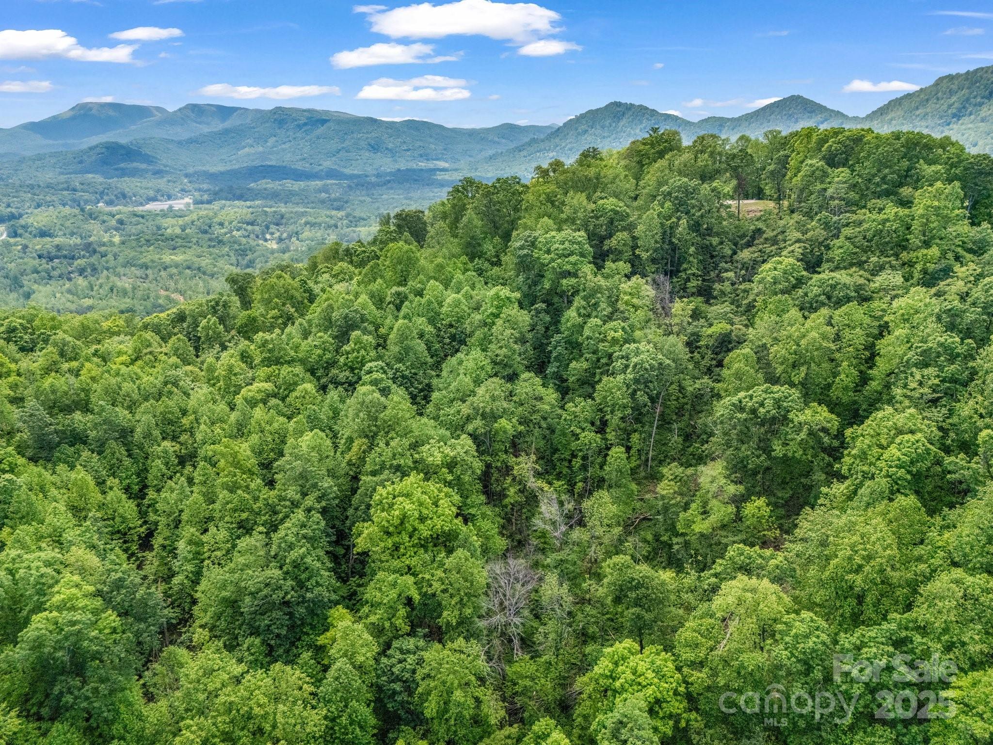 0 Ragans Point, Unit 31 Columbus, NC 28722 - Photo 24 of 25 a view of a lush green outdoor space with a lake view