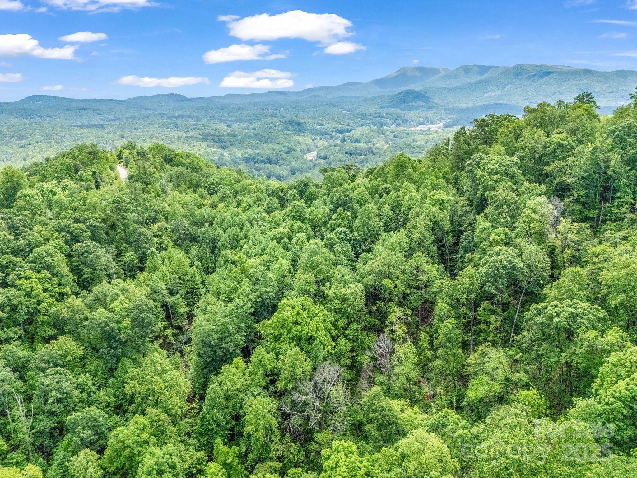 0 Ragans Point, Unit 31 Columbus, NC 28722 - Photo 25 of 25 a view of a lush green forest with lush green forest