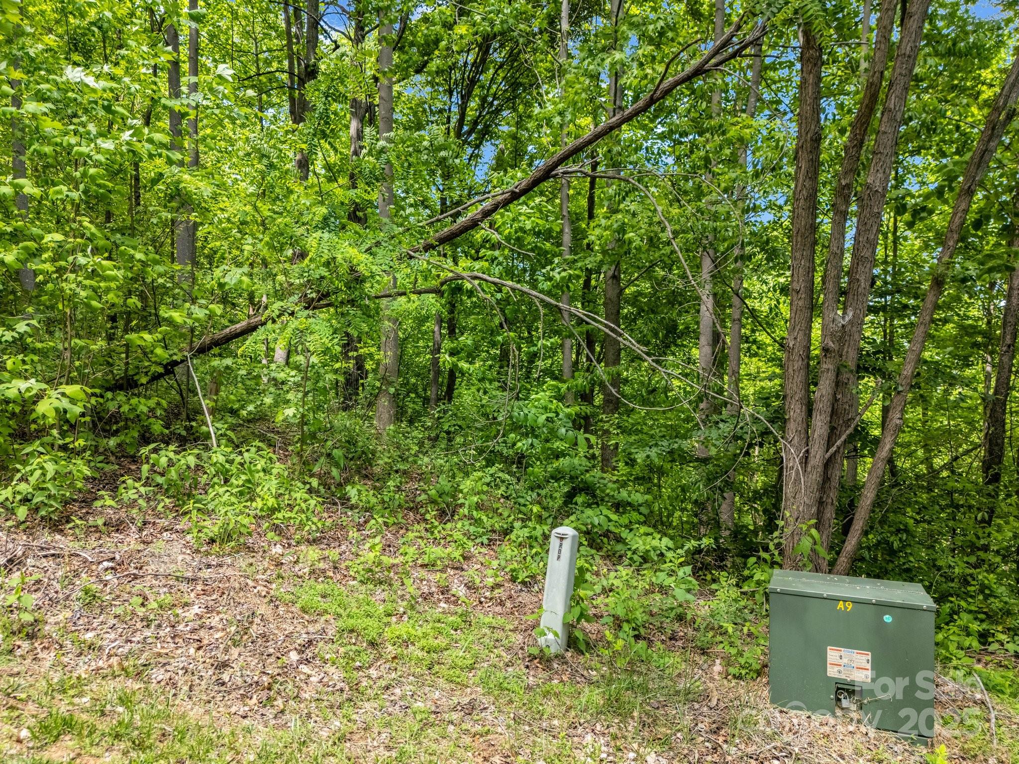 0 Ragans Point, Unit 31 Columbus, NC 28722 - Photo 5 of 25 a backyard of a house with lots of plants and tree