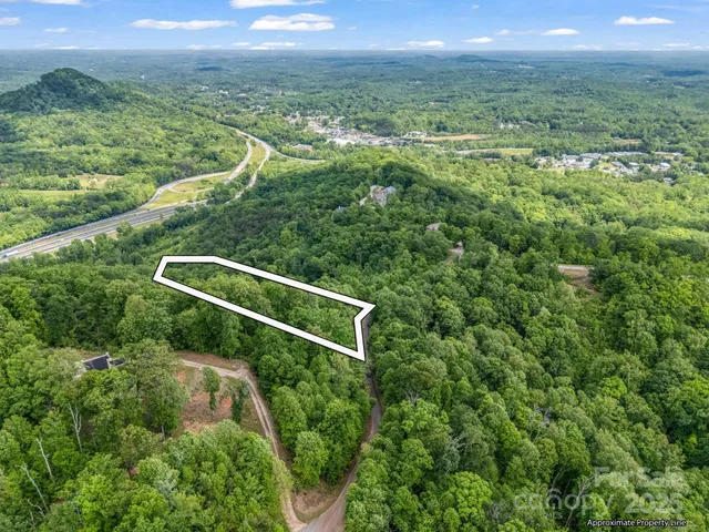 a view of a city with lush green forest