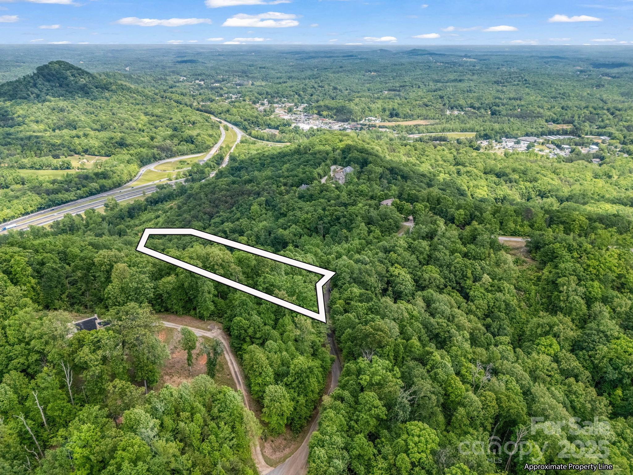 0 Ragans Point, Unit 31 Columbus, NC 28722 - Photo 6 of 25 a view of a city with lush green forest