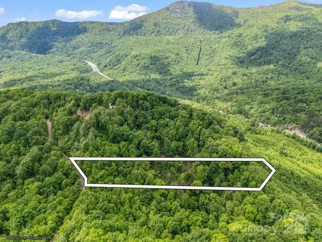 a view of a backyard with plants