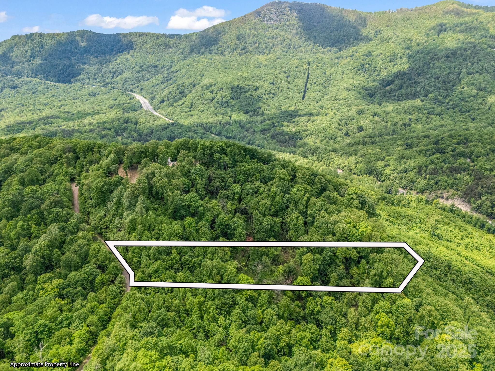 0 Ragans Point, Unit 31 Columbus, NC 28722 - Photo 9 of 25 a view of a backyard with plants