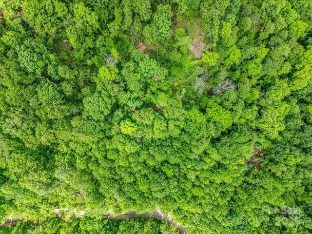 a view of a lush green space