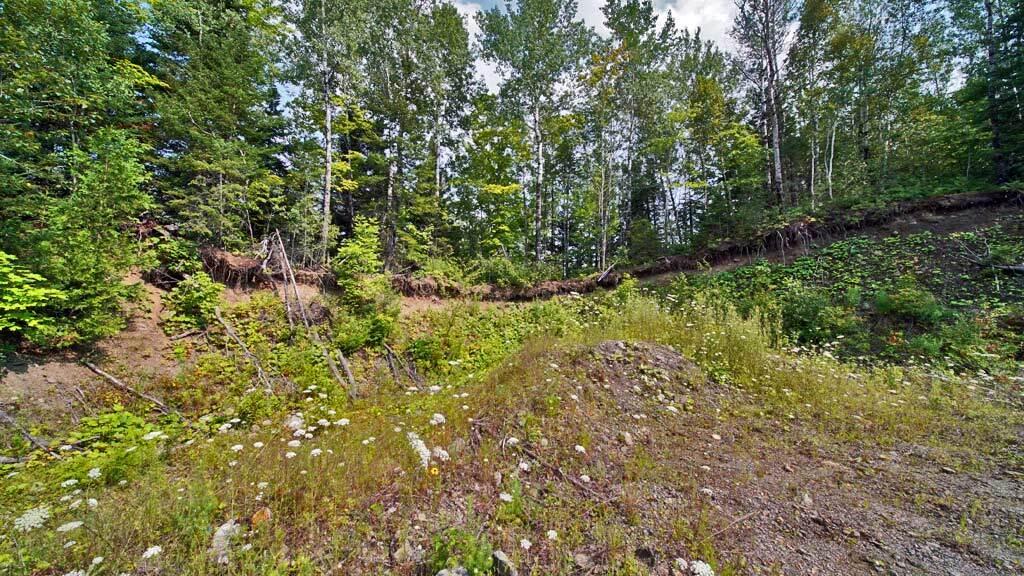 Lot 62-5 Folsom Road Houlton, ME 04730 - Photo 26 of 28 folsom-rd-me-land-9