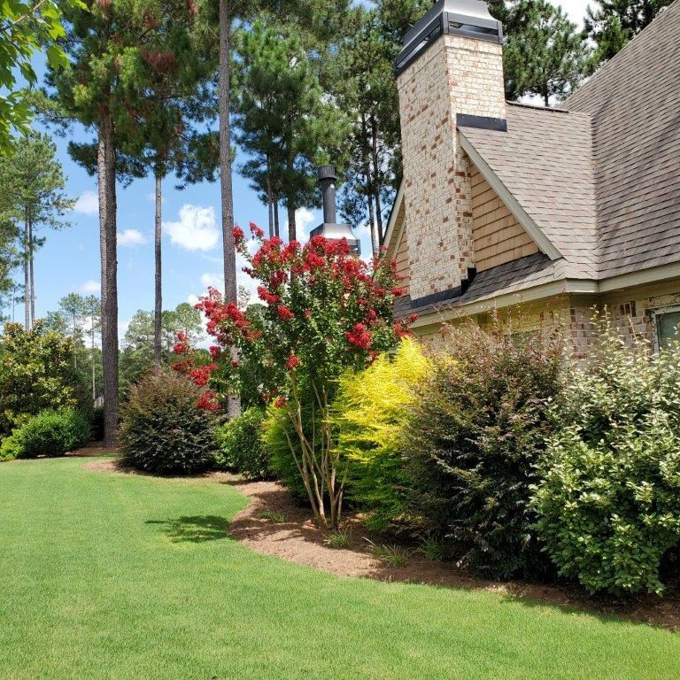 111 Pinyon Pine Loop Aiken, SC 29803 - Photo 40 of 44