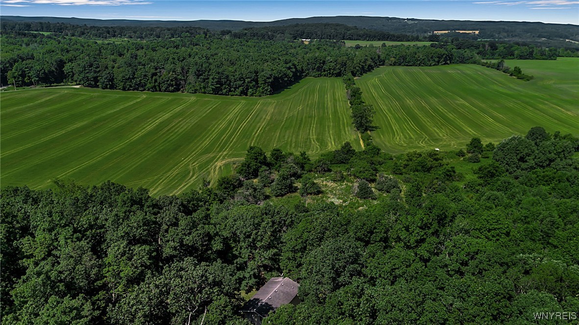 9247 Coffee Hill Road West Sparta, NY 14437 - Photo 14 of 48