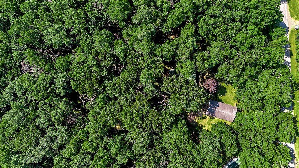 9247 Coffee Hill Road West Sparta, NY 14437 - Photo 16 of 48