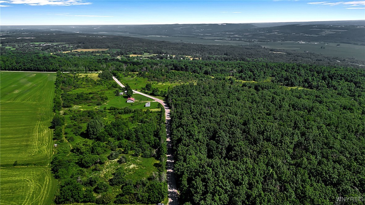 9247 Coffee Hill Road West Sparta, NY 14437 - Photo 17 of 48