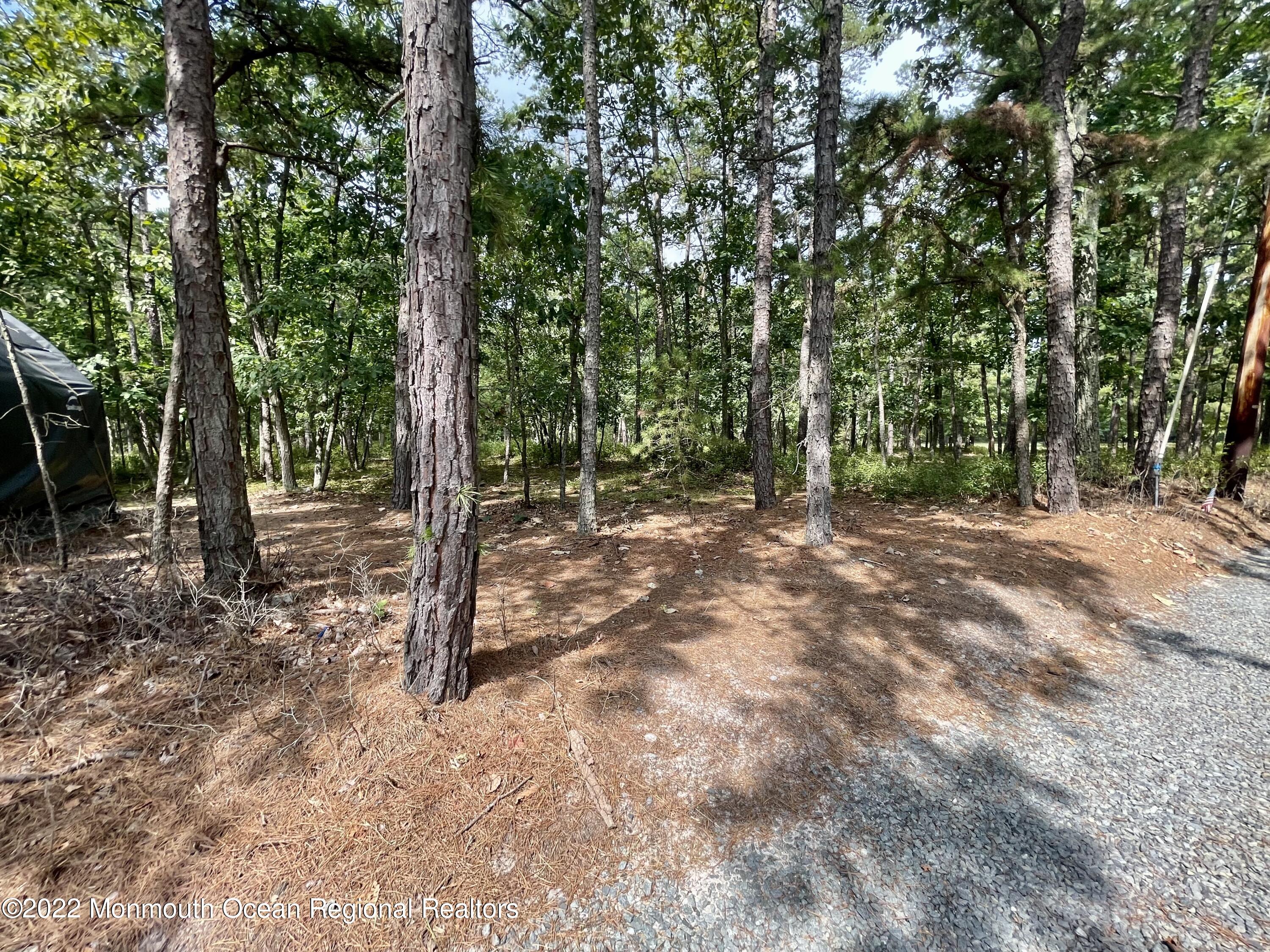 9 Johnson Road Vincentown, NJ 08088 - Photo 46 of 48 AC5E4FD8-FB41-43AE-A136-8A043B4FF750
