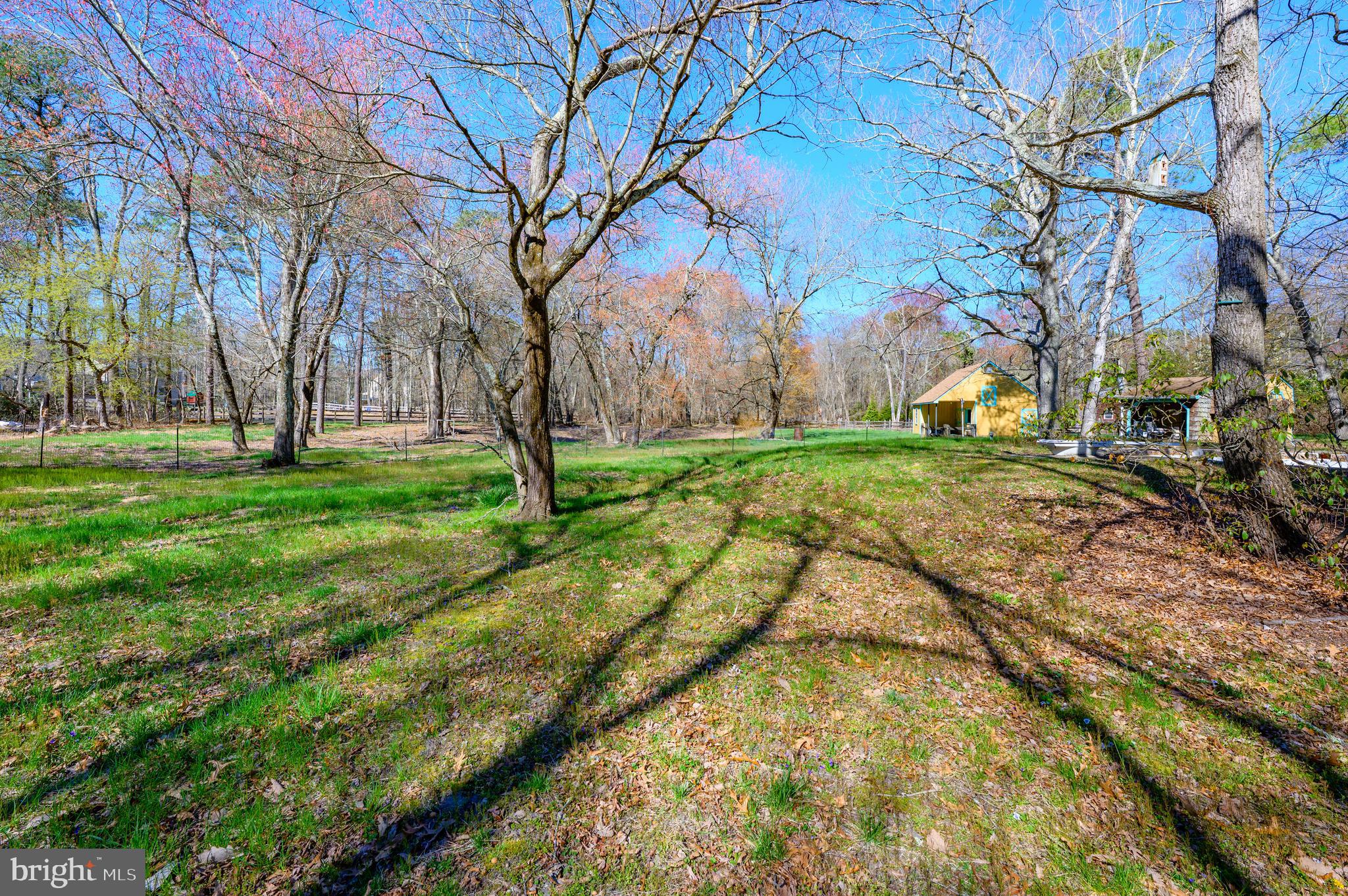 425 Stokes Road Shamong, NJ 08088 - Photo 26 of 36