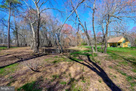 a view of a park with tree s