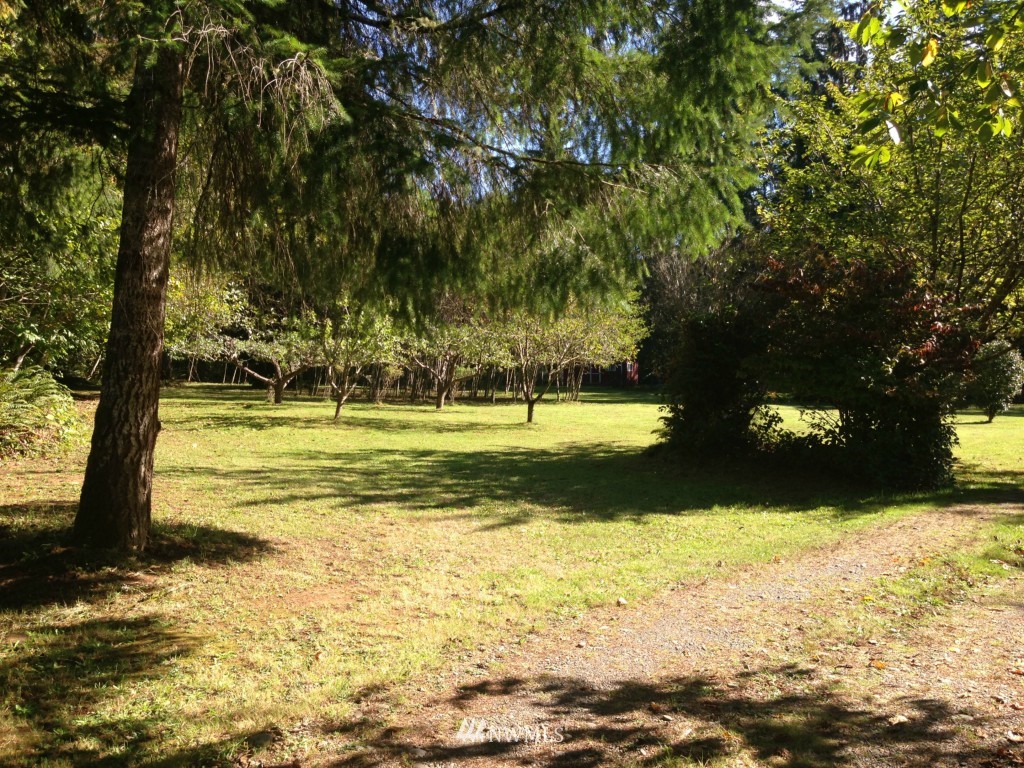 51 Abbott Road Elma, WA 98541 - Photo 12 of 25 Gallery Image 12