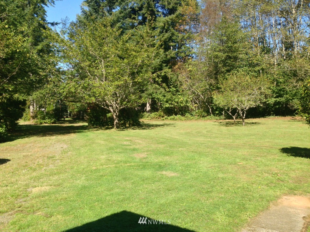51 Abbott Road Elma, WA 98541 - Photo 9 of 25 Gallery Image 9