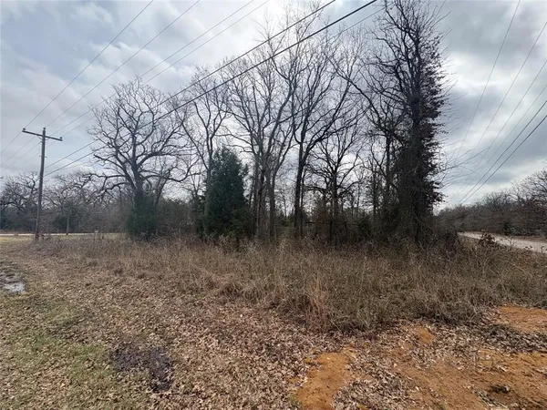 a view of outdoor space with lots of trees