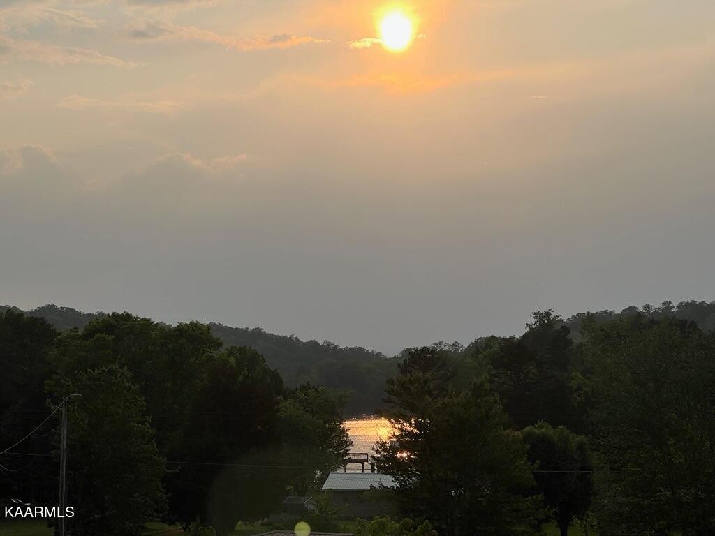 105 Luminary Cemetery Road Ten Mile, TN 37880 - Photo 4 of 25 Gallery Image 4