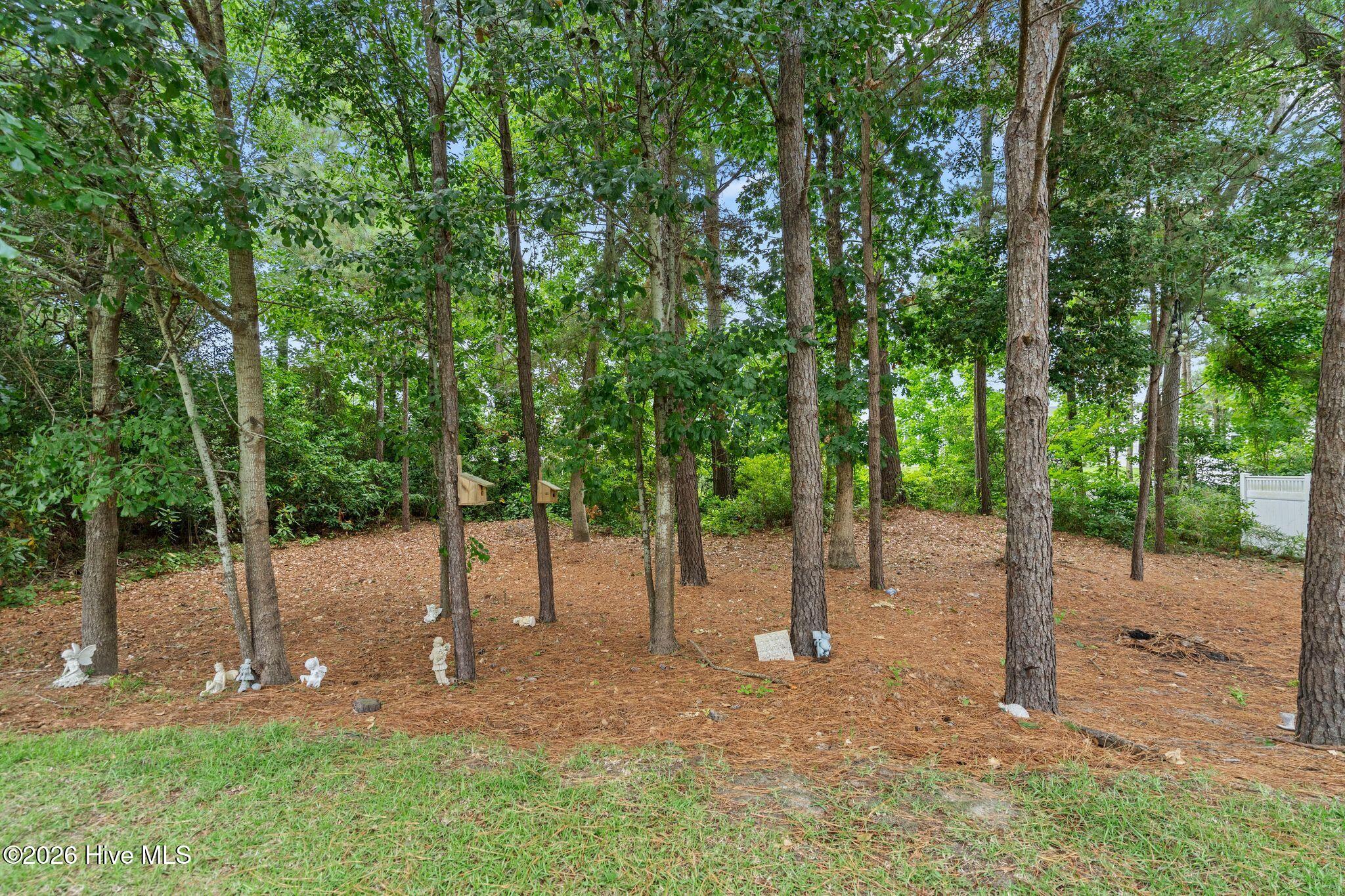 107 Whispering Pine Lane Holly Ridge, NC 28445 - Photo 58 of 100