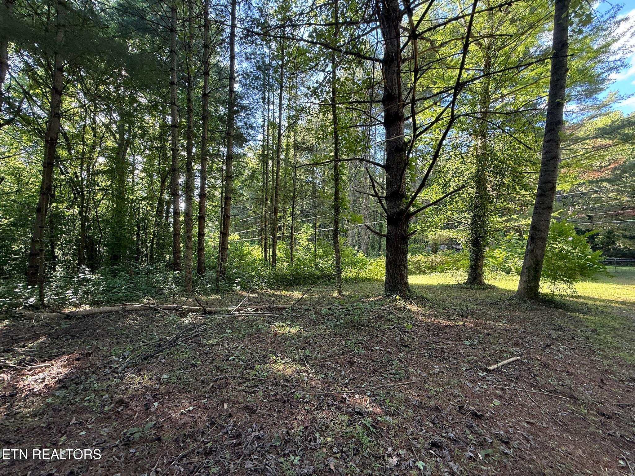 992 Chicken Hollow Road Newport, TN 37821 - Photo 12 of 37 IMG_0116