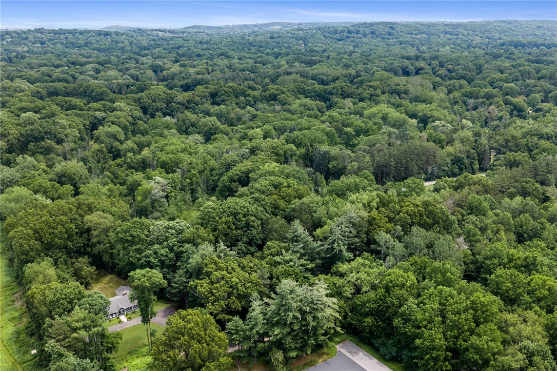 157 Crescent Hill Road Perinton, NY 14534 - Photo 9 of 47 SPECTACULAR ARCHITECT DESIGNED PITTSFORD DREAM EST