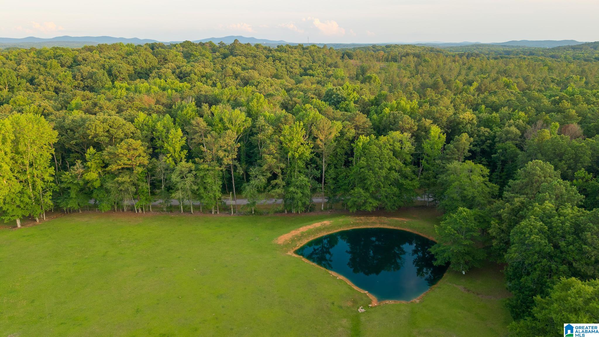 271 Little Pond Road Pell City, AL 35128 - Photo 45 of 86