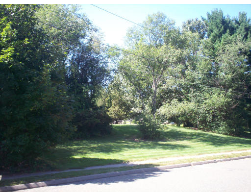 22 Spruce Road Medway, MA 02053 - Photo 5 of 17 a view of a yard