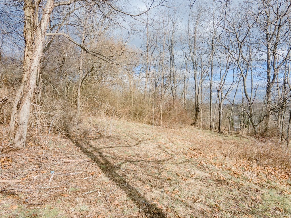 261 Powerhouse Road Independence, VA 24348 - Photo 65 of 75 Gallery Image 65