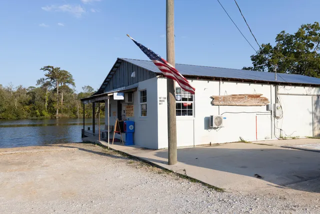 a view of a yard with large trees