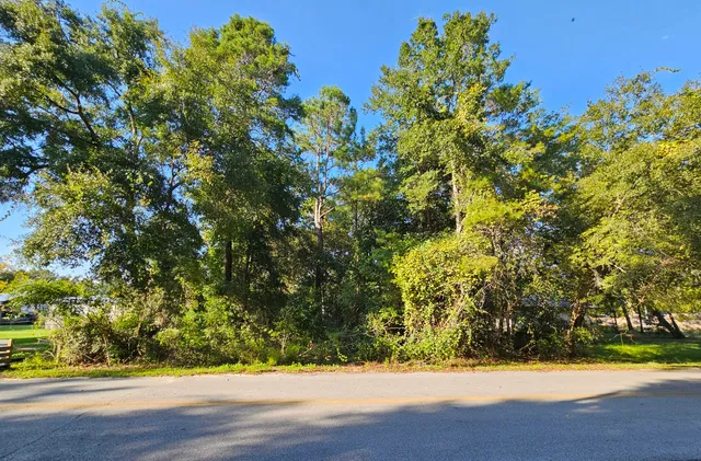 a view of a yard with a trees