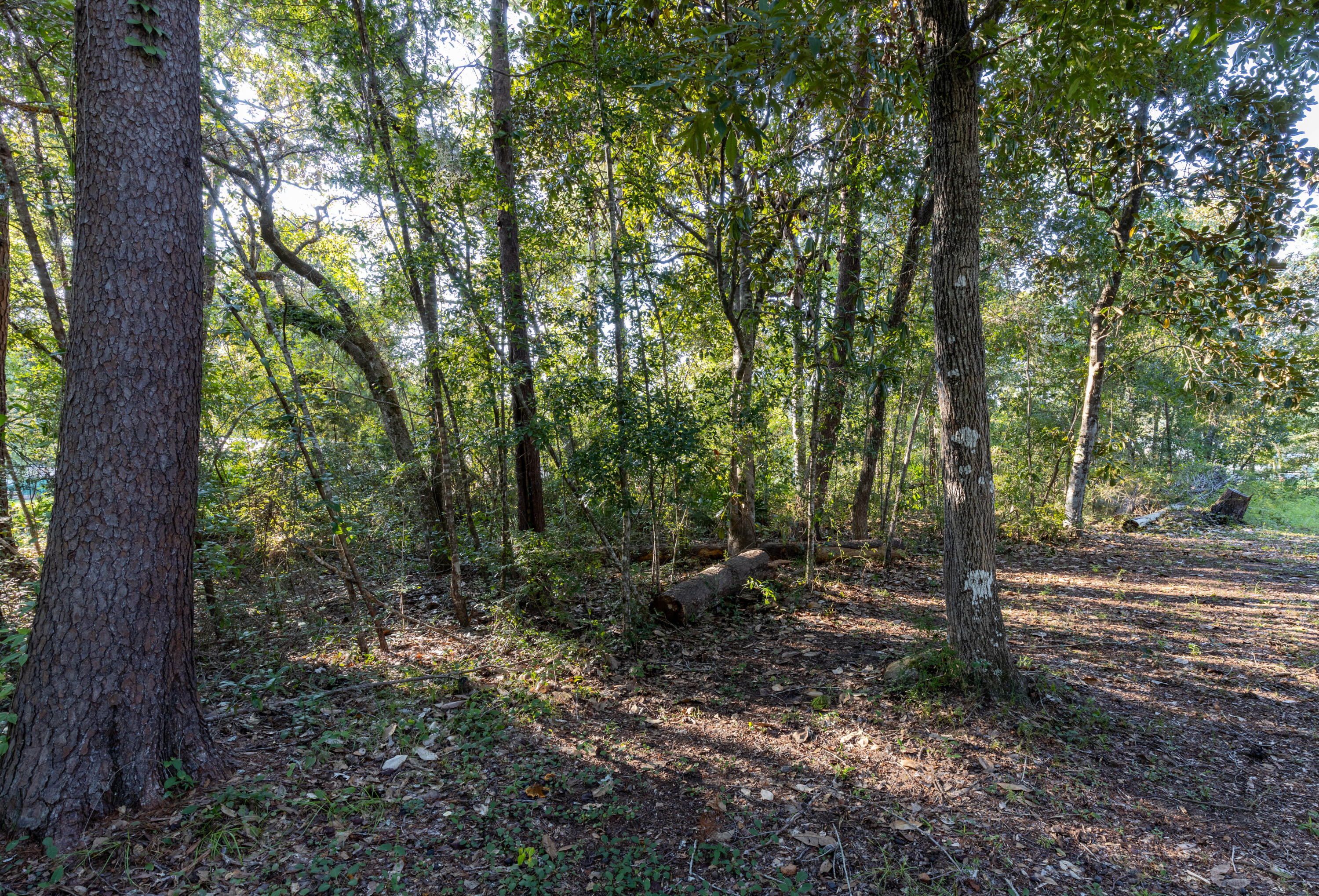 Lot Xx Stillwater Road Freeport, FL 32439 - Photo 20 of 20 a backyard of a house with lots of green space