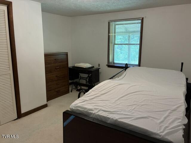6602 DC Caney Ridge Road Coeburn, VA 24230 - Photo 20 of 23 IMG_7599