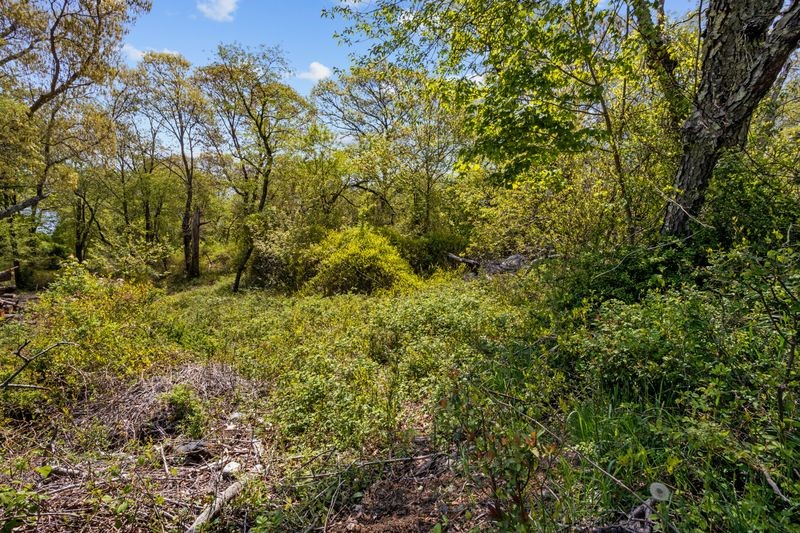 0 Daniel Avenue Prudence Island, RI 02872 - Photo 11 of 11