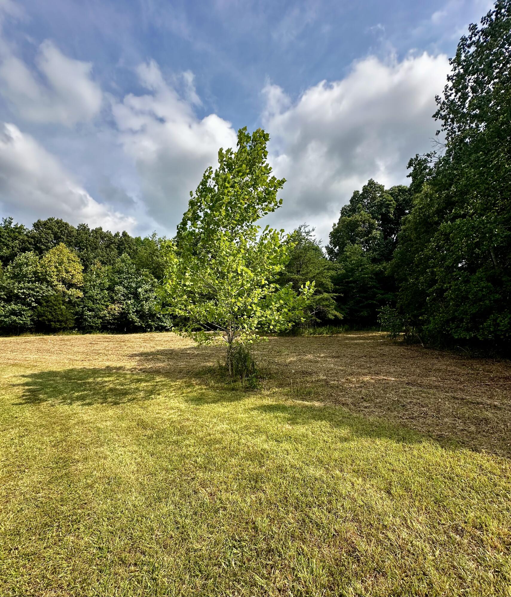 840 New Fox Road Irvine, KY 40336 - Photo 29 of 84 IMG_0620