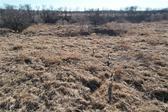 $241,400 | 0 East Lincoln Avenue, Blackwell, OK 74631