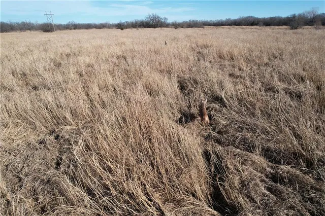 $241,400 | 0 East Lincoln Avenue, Blackwell, OK 74631