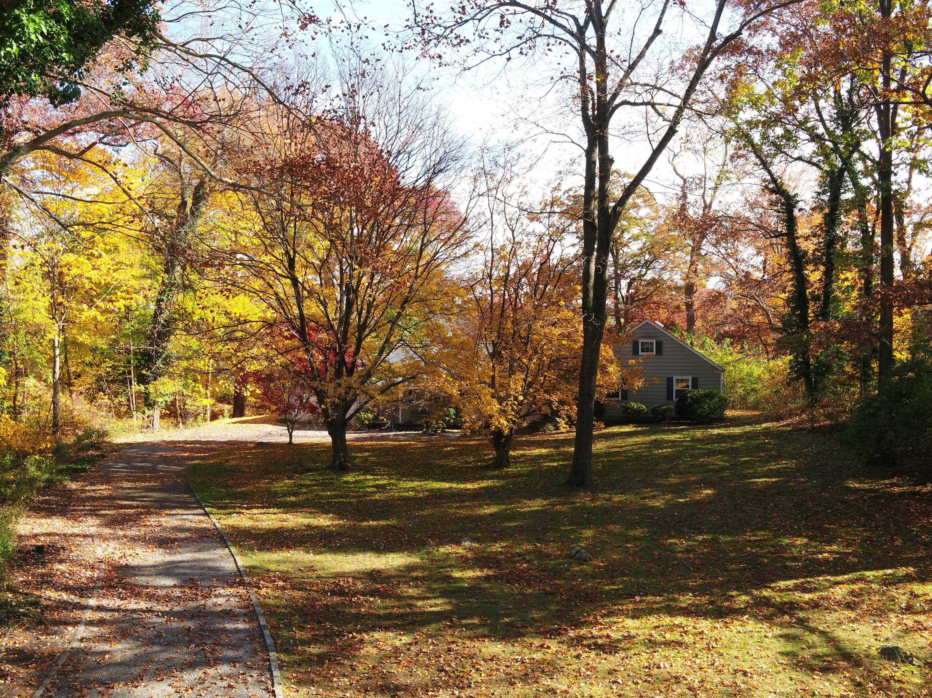 30 Pasture Lane Darien, CT 06820 - Photo 12 of 14 a street view with large trees