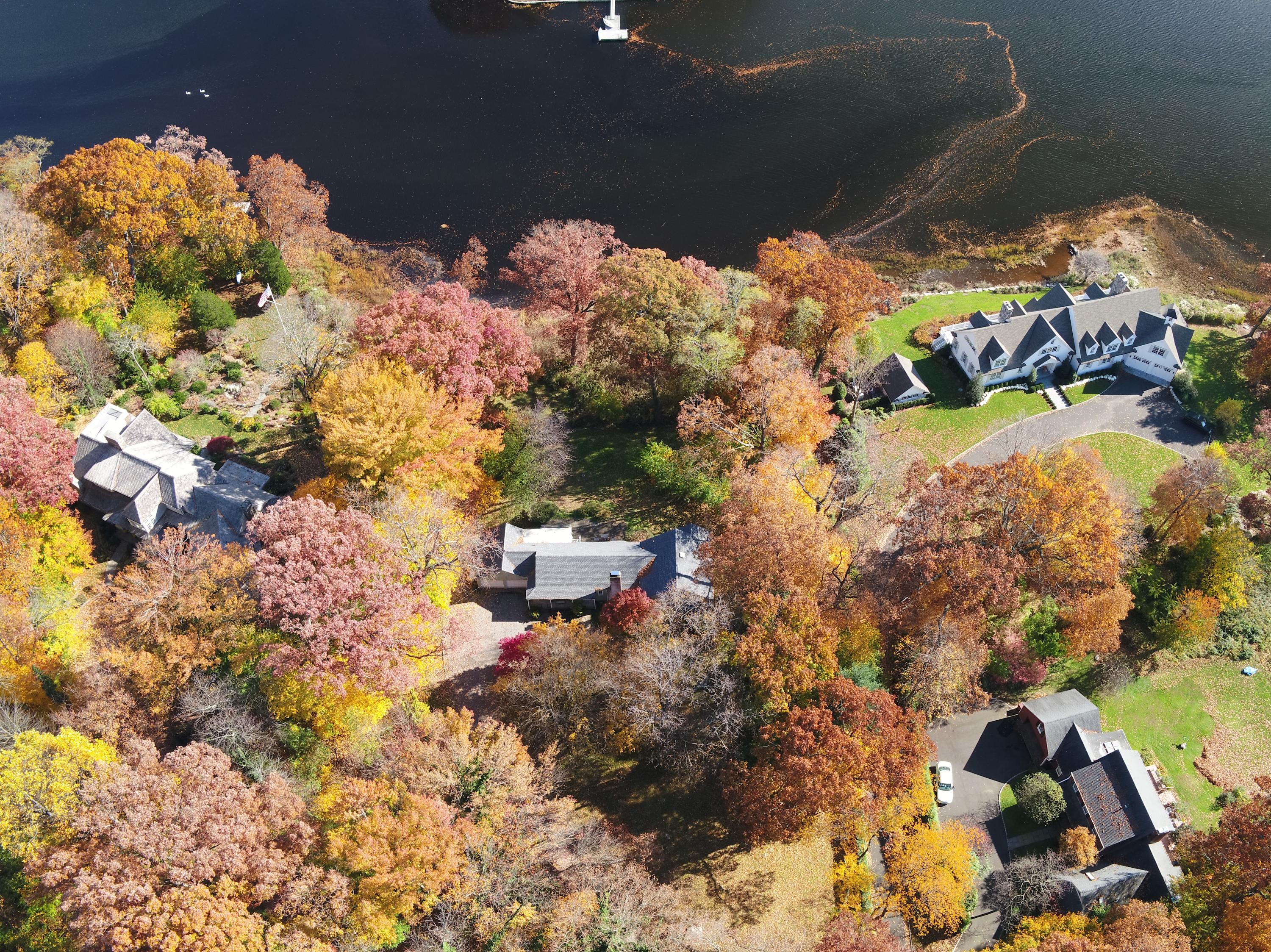 30 Pasture Lane Darien, CT 06820 - Photo 14 of 14 a view of a flower