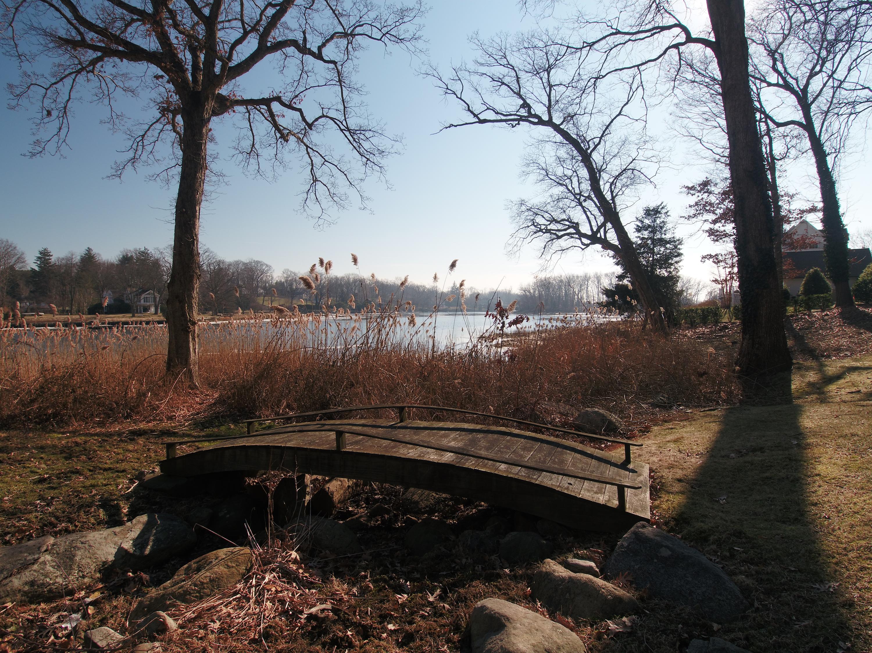 30 Pasture Lane Darien, CT 06820 - Photo 8 of 14 a view of a yard with wooden fence